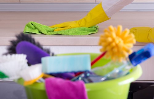 Pet stain odour removal for carpets in a Brixton home