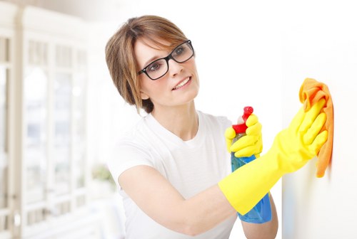 Local window cleaning service for Brixton homes and businesses