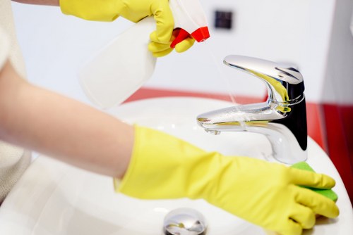 Professional window cleaning equipment for upper-floor Brixton flats