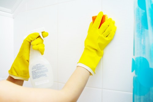 Professional carpet cleaners in Brixton introducing their company and values