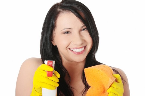 Local cleaner maintaining a Brixton bathroom and kitchen