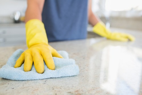 Deep cleaning equipment used for pet stain removal in Brixton